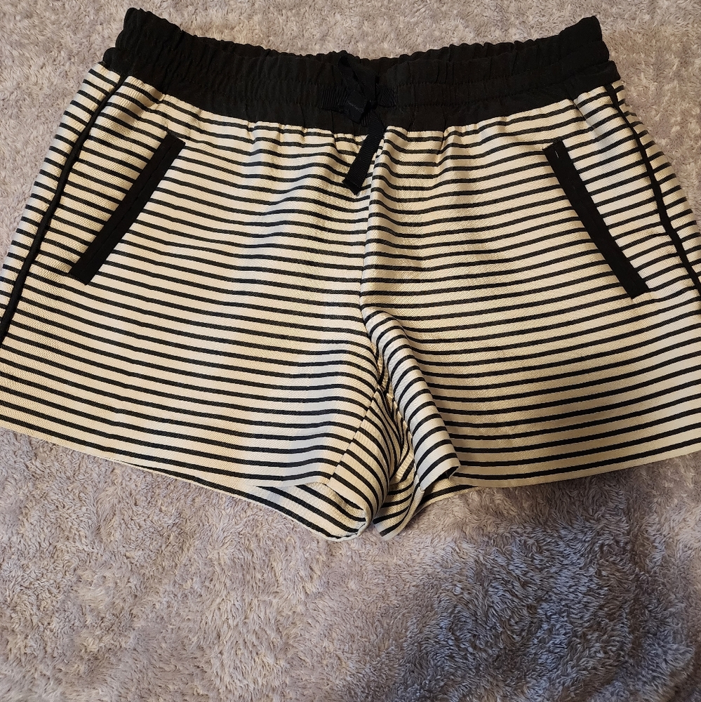 Loft shorts